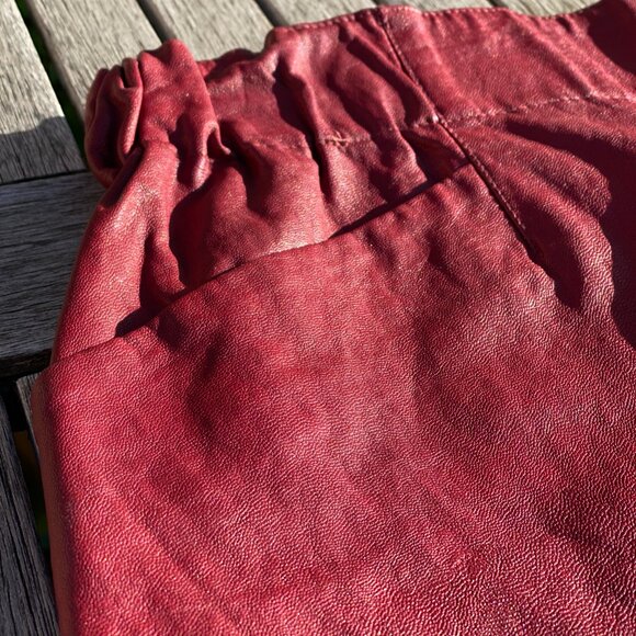 Zara Basic Faux Leather Mini Skirt — Vegan Leather (M) - Picture 3 of 7